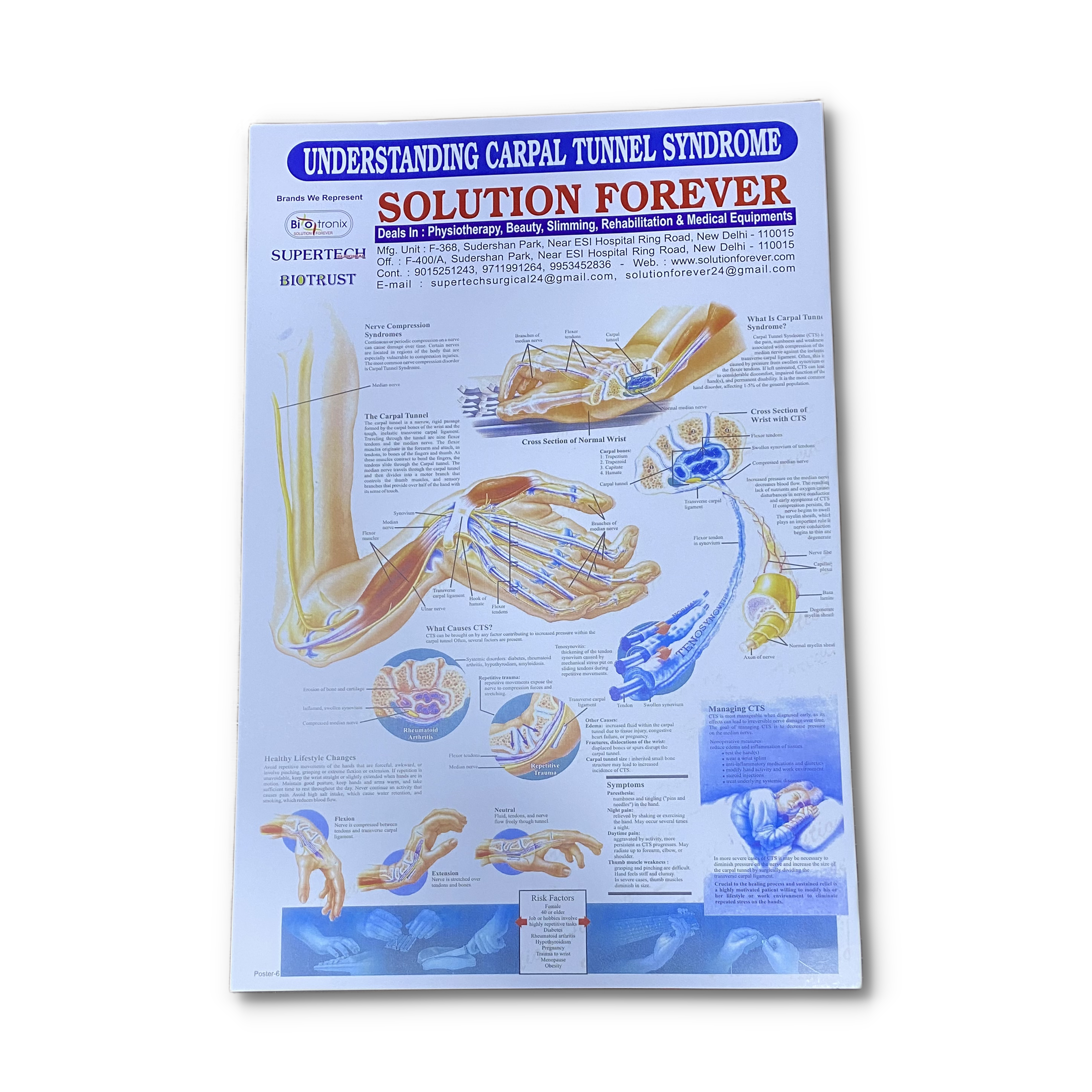 Physiotherapy Educational Poster Set 