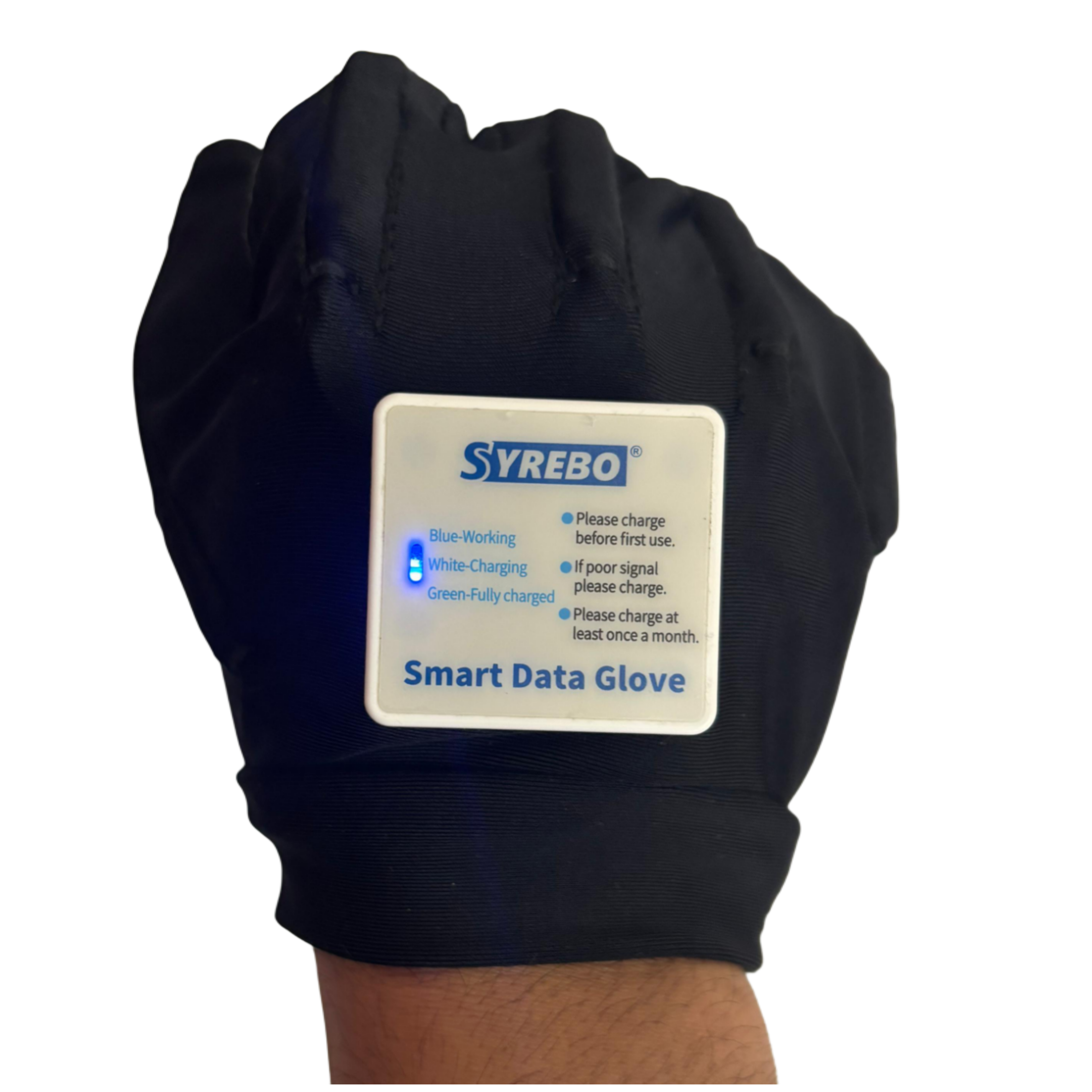 E12 dual hand rehab 