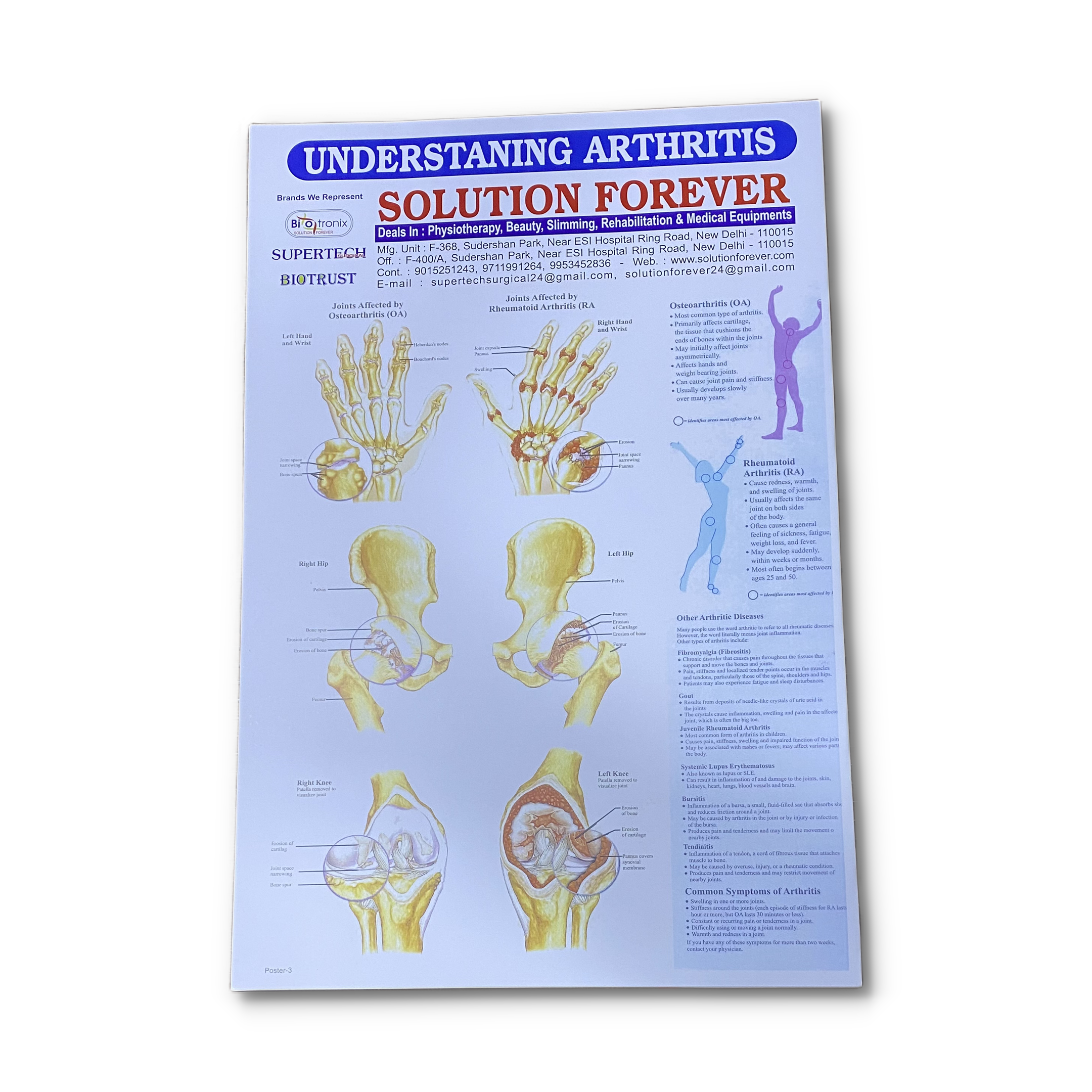 Physical Therapy Wall Chart Set 
