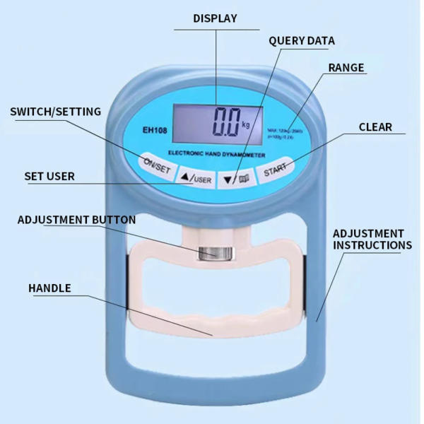 hand dynamometer with screen