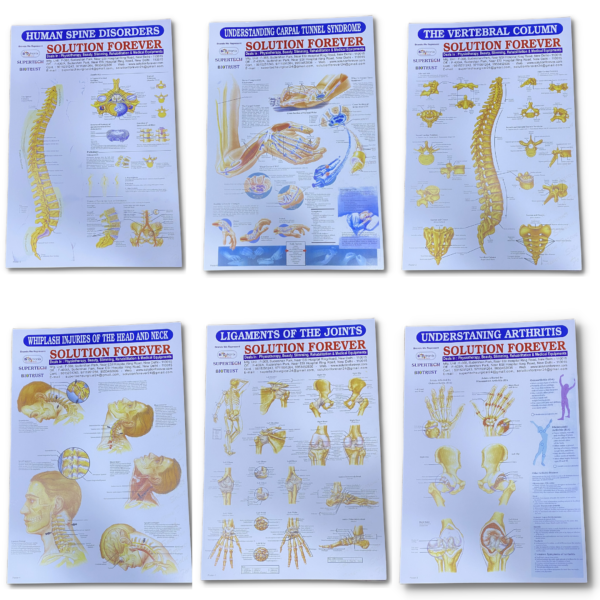 Physio Charts for Patient Education