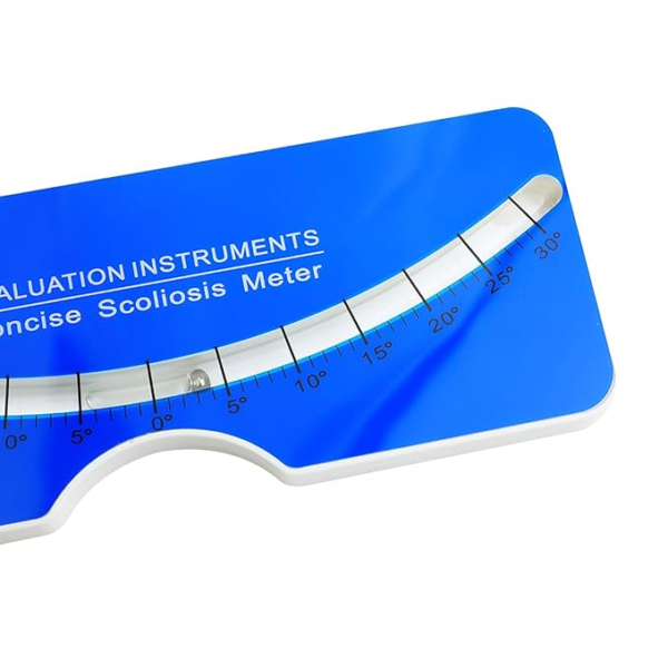 Scoliosis measurement tool