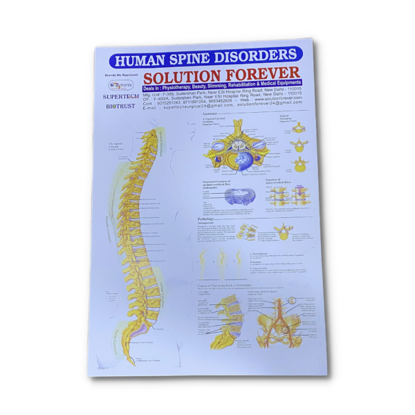 informative charts for physiotherapy clinics