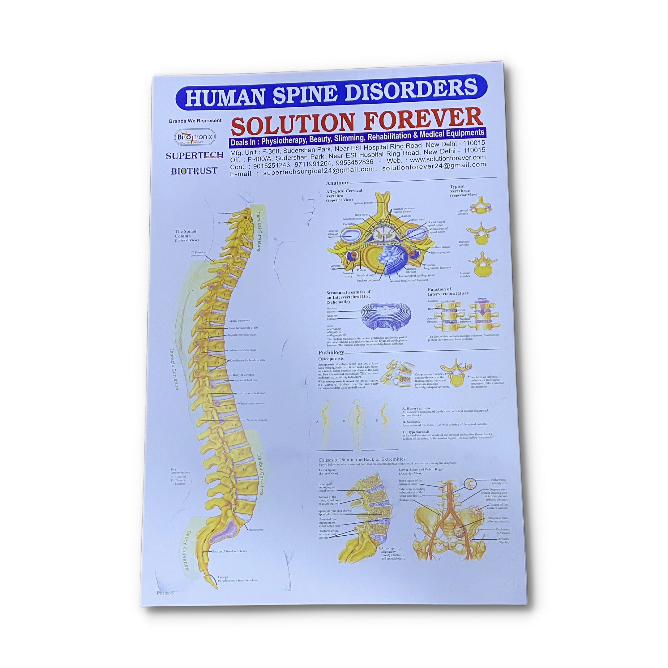 informative charts for physiotherapy clinics