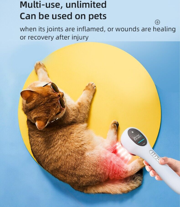 laser therapy device for physiotherapy